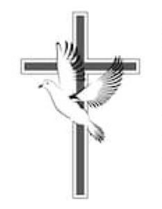 Obituary of Sergio Romero Rangel