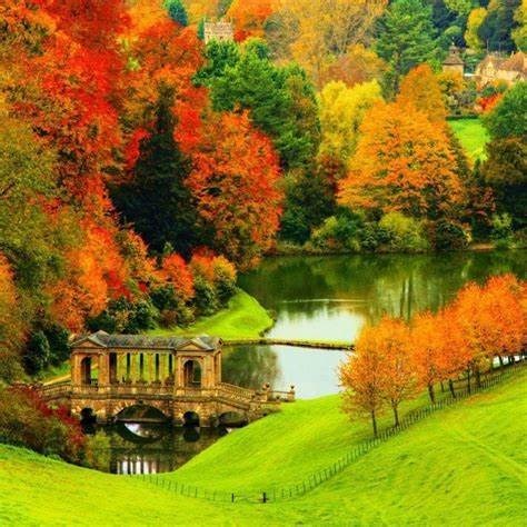 Obituary of Sharon Annette Young