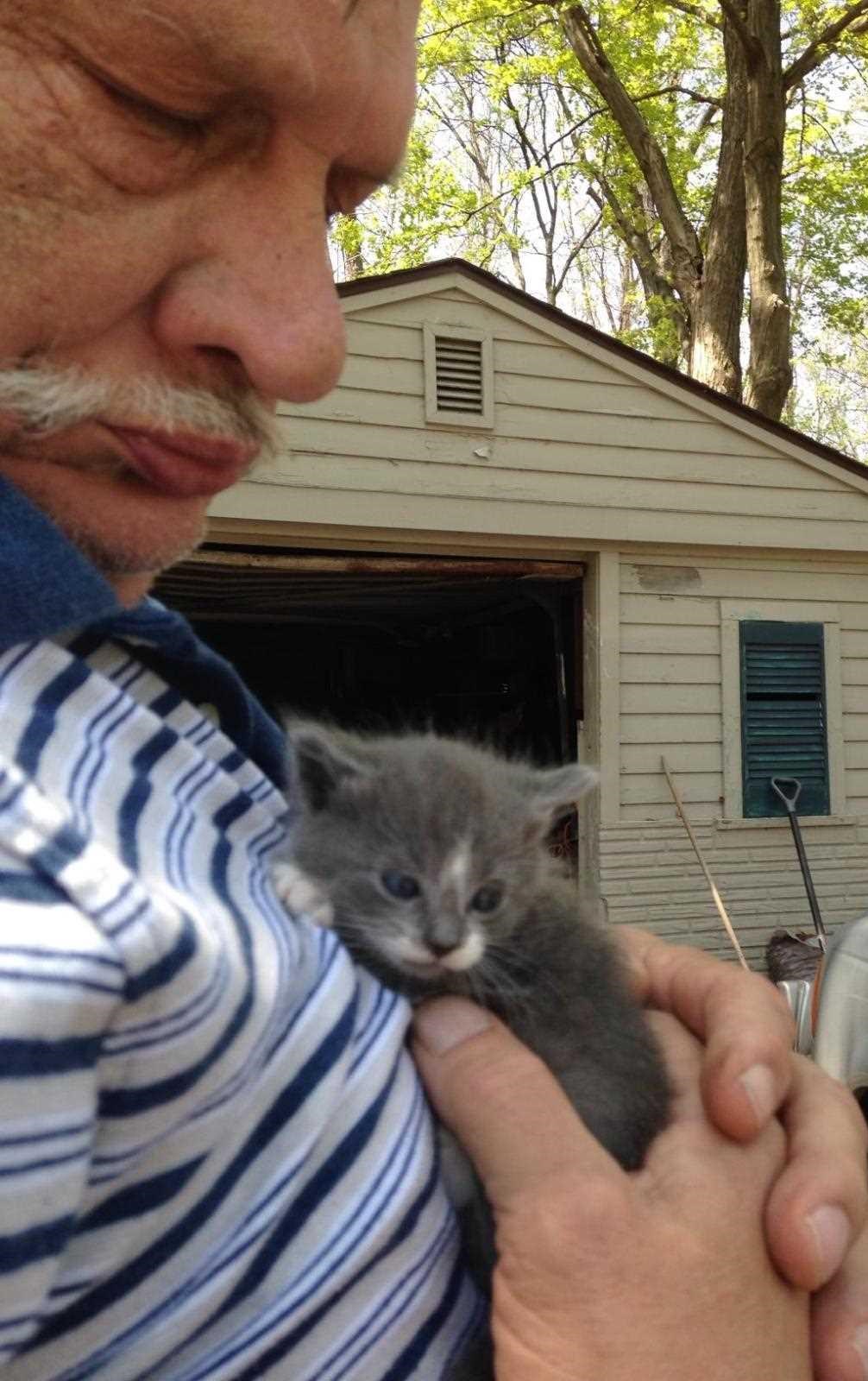 Obituary of William Chris Grihorash