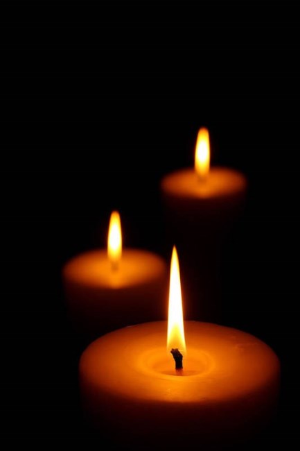 Obituary of Fred Anthony Bona