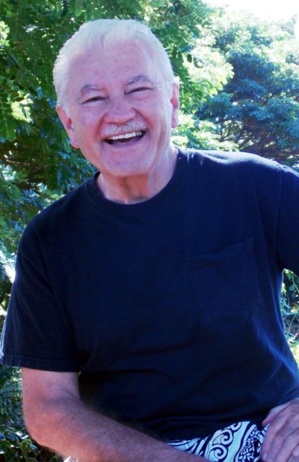 Obituary of Dan M. Steric