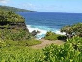 Obituario de Timothy Warren Hart