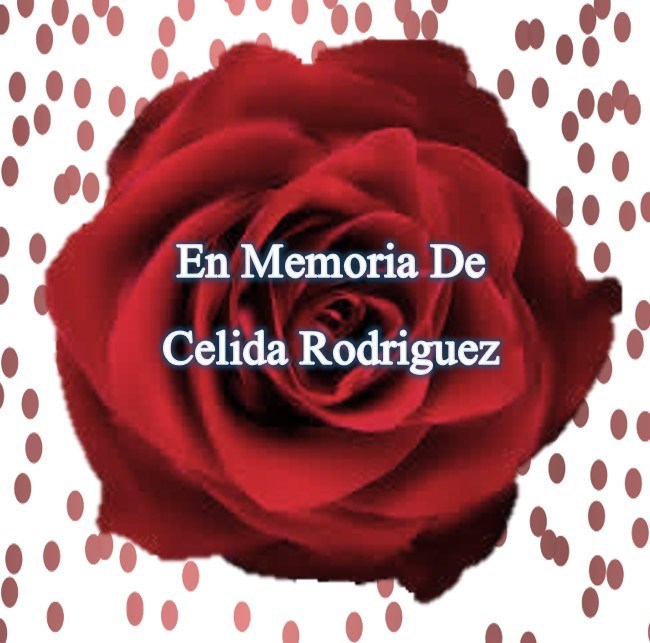 Obituary of Celida Rodriguez