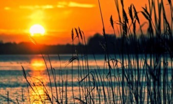 Obituary of Jose Blas Galindo