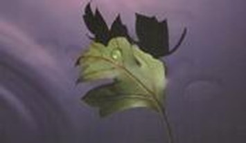 Obituary of Infant Romeo Anthony Jaimes