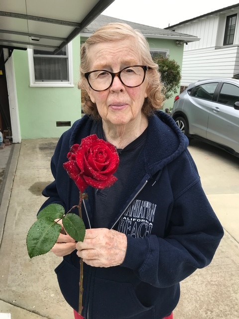 Obituary of Josephine Willie Whitcombe