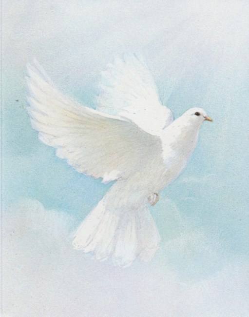 Obituary of Edith Marie Arnold