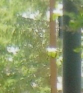 Régis Jean Obituary Quebec, QC