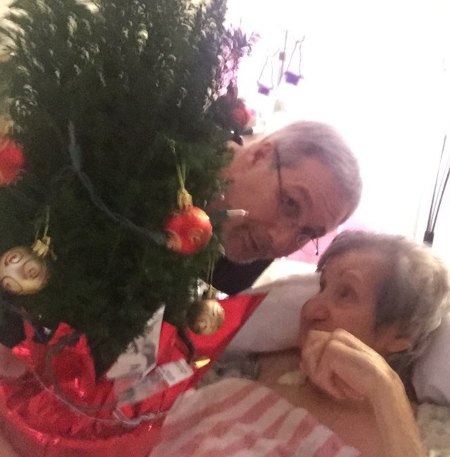 Obituary of Laura Domina