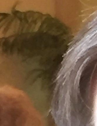 Eileen Reeves Obituary - Crown Point, IN