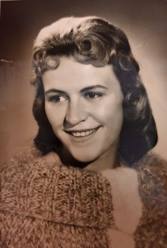 Obituary of Sandra Clare Plotner
