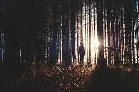 Obituary of Frank Henry Wolfe Jr.