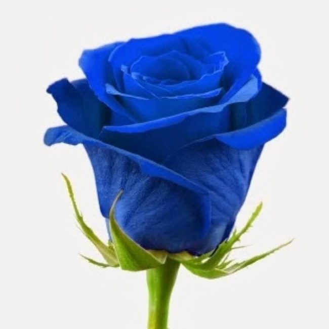 Obituary of Sandra Vasquez Benitez