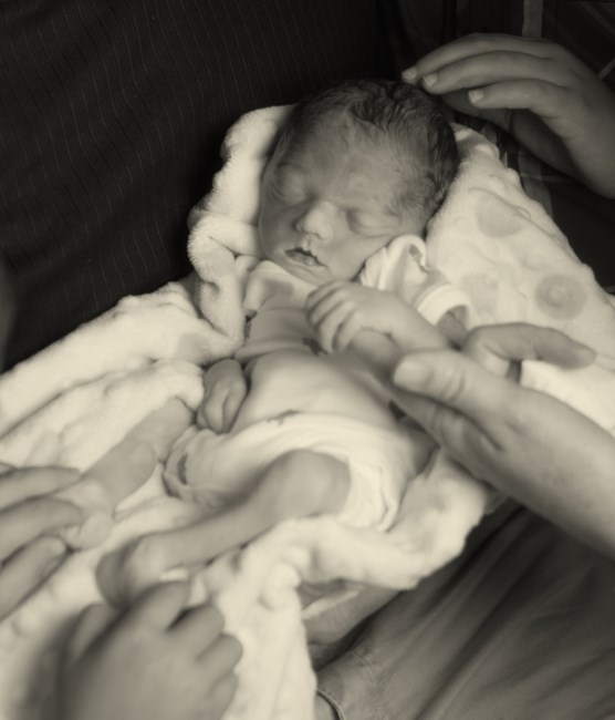 Obituary of Shane Bryan Gorman