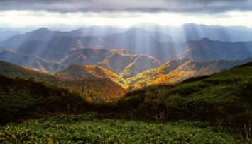Obituary of Frances Ellen Carlson
