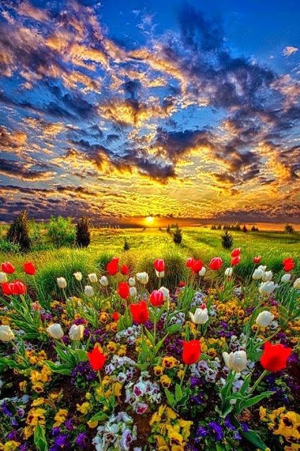 Obituary of Darlene Marie McFarland