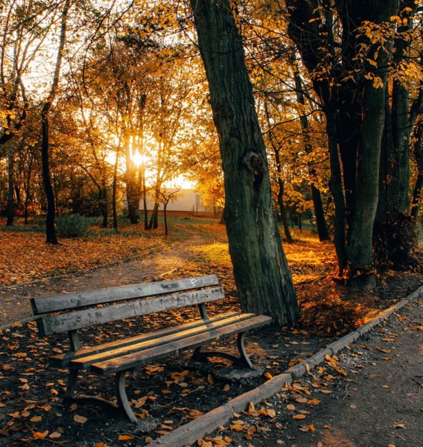 Obituary of Louis Yuen