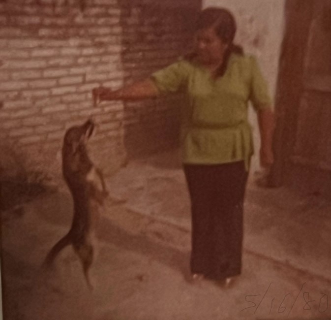 Obituario de Virginia Andrade