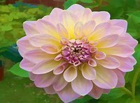 Obituary of Katherine Wilson