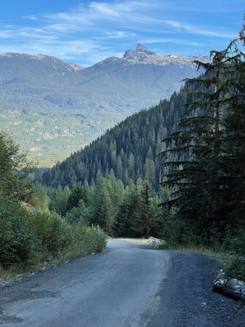 Obituary of David Maxime Allan Baranas