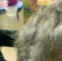 Evelyn M. Hettenhouser Obituary Martinsburg, WV