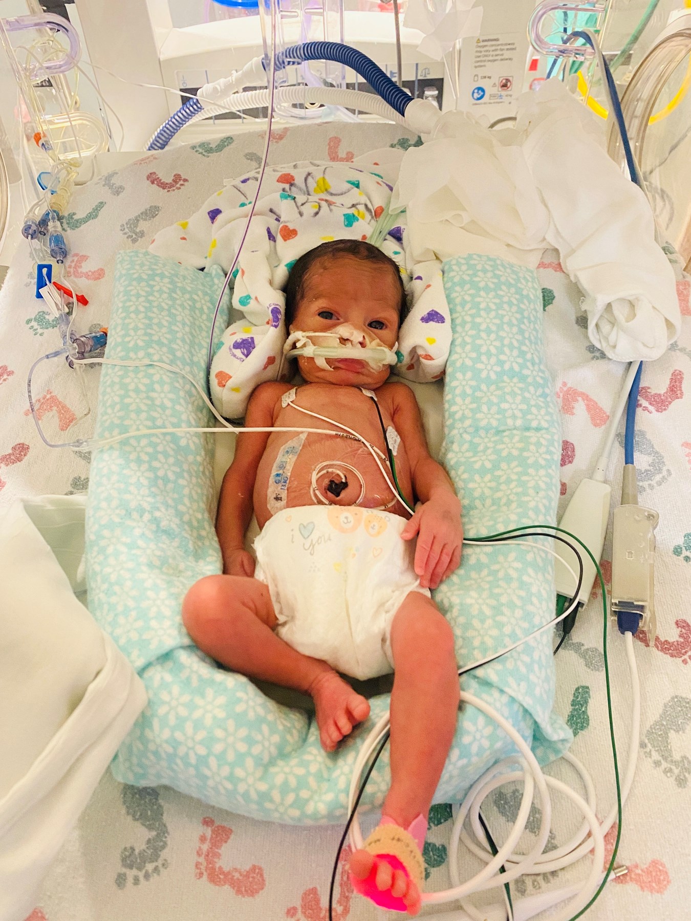 Obituary of Raven Quinn Weller