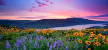 Obituary of Mrs. Donna Irene Farr