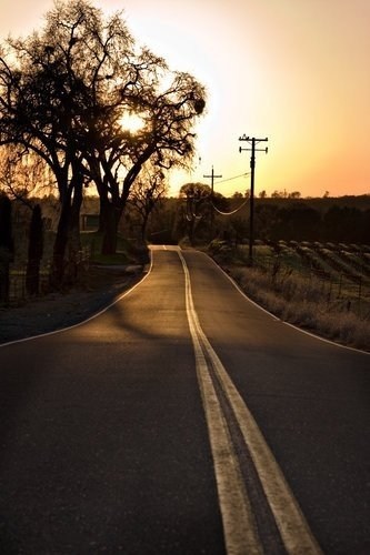 Obituary of Bryan Kelly