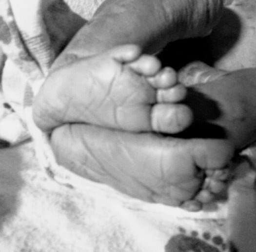 Obituary of Hailie Marie Vieira