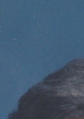 Janice Conant Obituary Grand Prairie, TX
