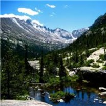 Obituary of Carolyn Fitzsimmons