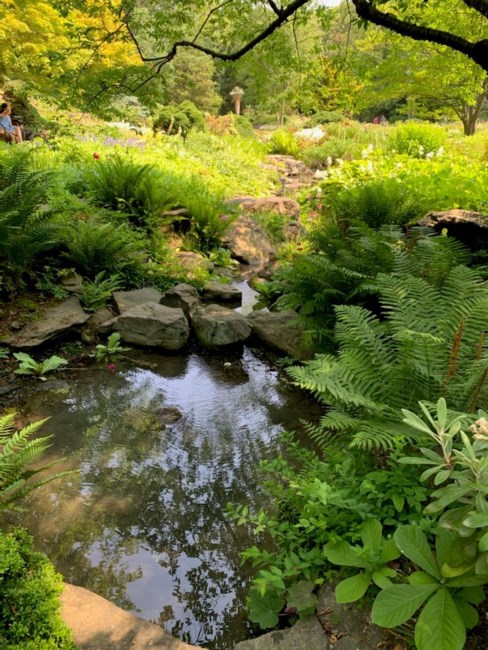 Obituary of Nancy Sager Halpert