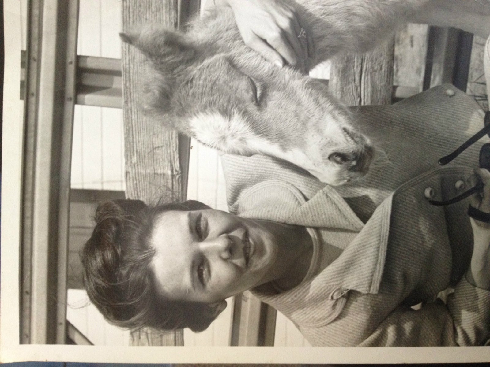 Obituary of Gailanne Maravel
