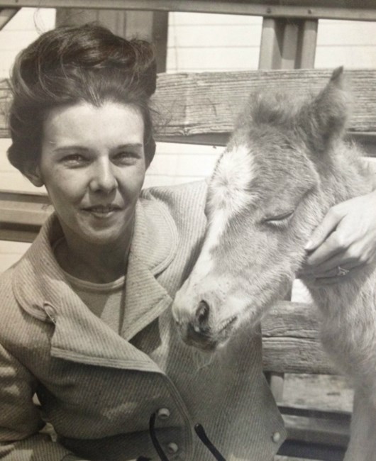 Obituary of Gailanne Maravel