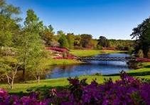 Obituary of Wynter Ann Canne