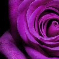 Obituary of Mary Maulden Taylor