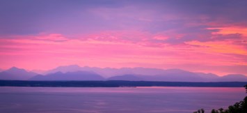 Obituary of Karen Ann Boyle