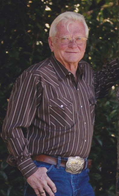 Obituario de Terry Michael Holland