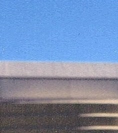 Barbara Riddle Obituary - Sanford, FL