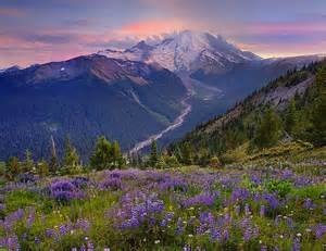 Obituary of Philip Stratiner