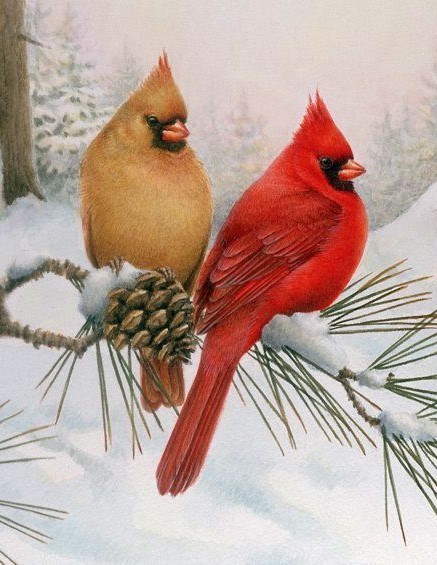 Obituary of Vernon F. "Butch" Probst