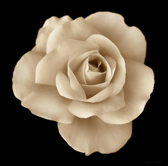 Obituario de Kristen Elizabeth Yudis