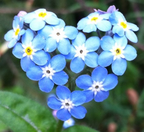 Obituary of Raymond Phillip Deschaine