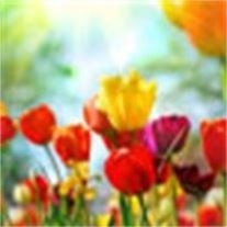 Obituary of Vera Jane Osborne