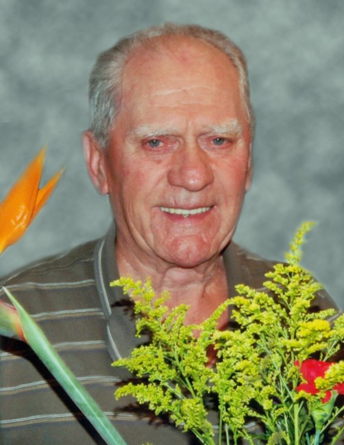 Obituary of Luigi Panigutti