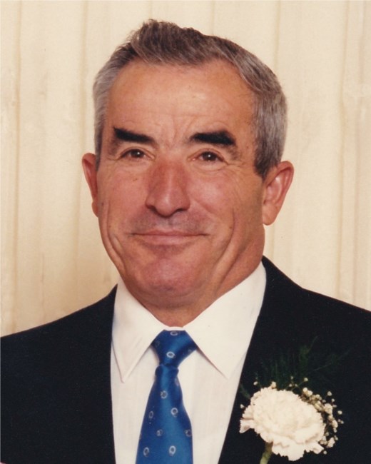 Obituary of Luigi Padula