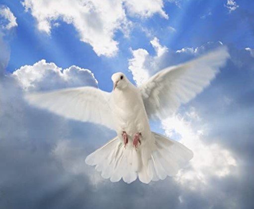 Obituary of Douglas Edward Brown