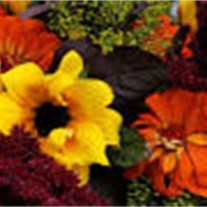 Obituary of Linda Kay Benson