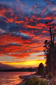 Allen Ralph Obituary - Fair Oaks, CA