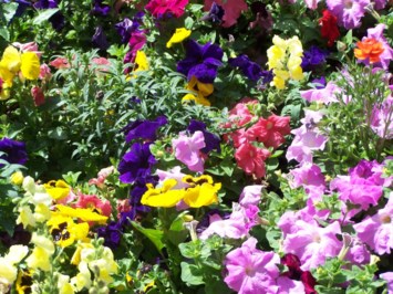 Obituary of Betty Jean Norman